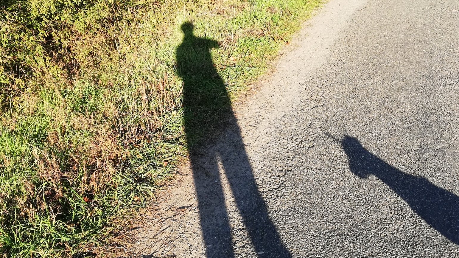 Schatten von einem Menschen und einem Hund auf einer Straße