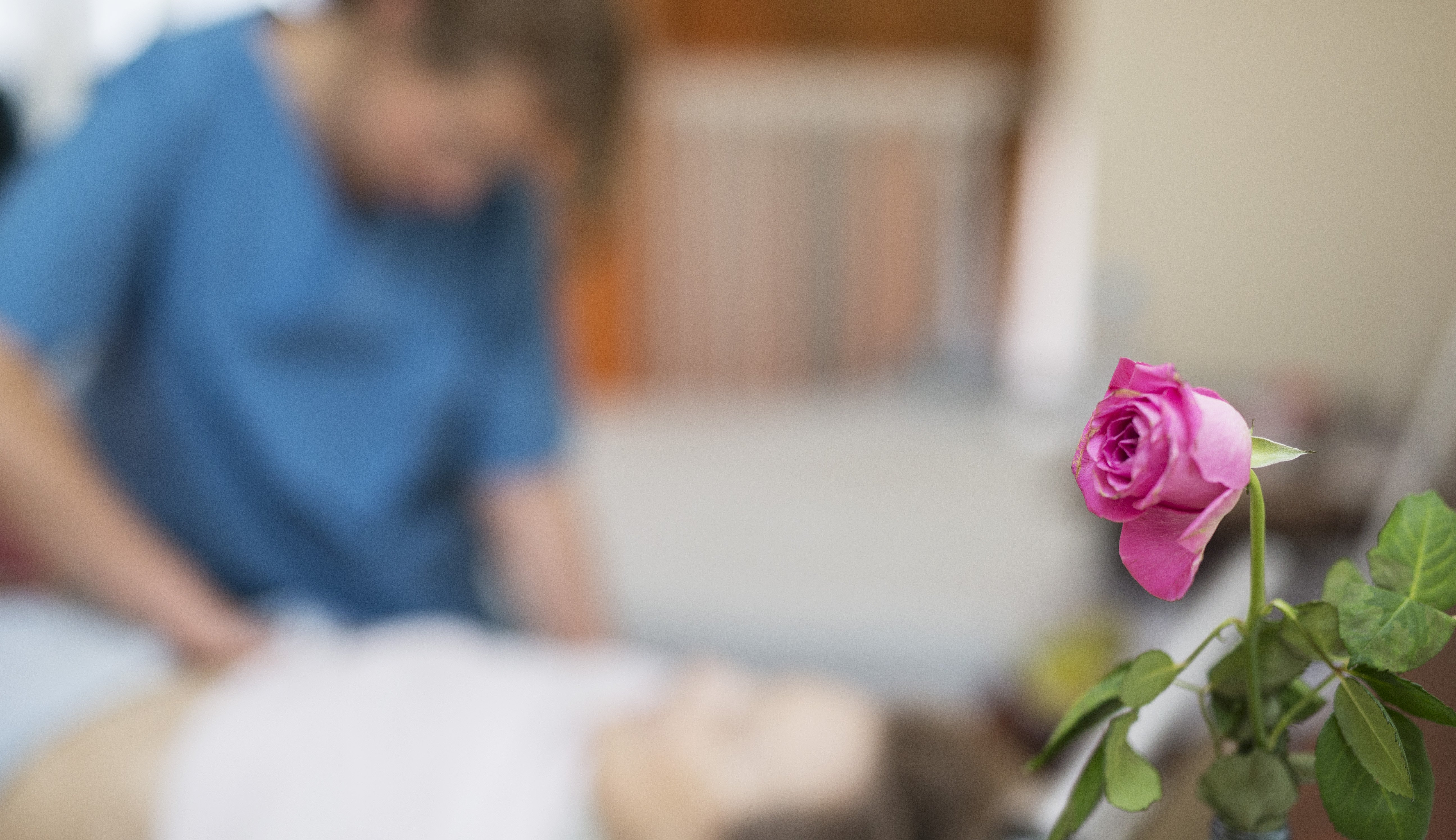 Im Vordergrund steht eine Rose auf einem Tisch. Im Hintergrund sieht man unscharf, wie eine Pflegefachfrau einer im Bett liegenden Patientin den Bauch abtastet.