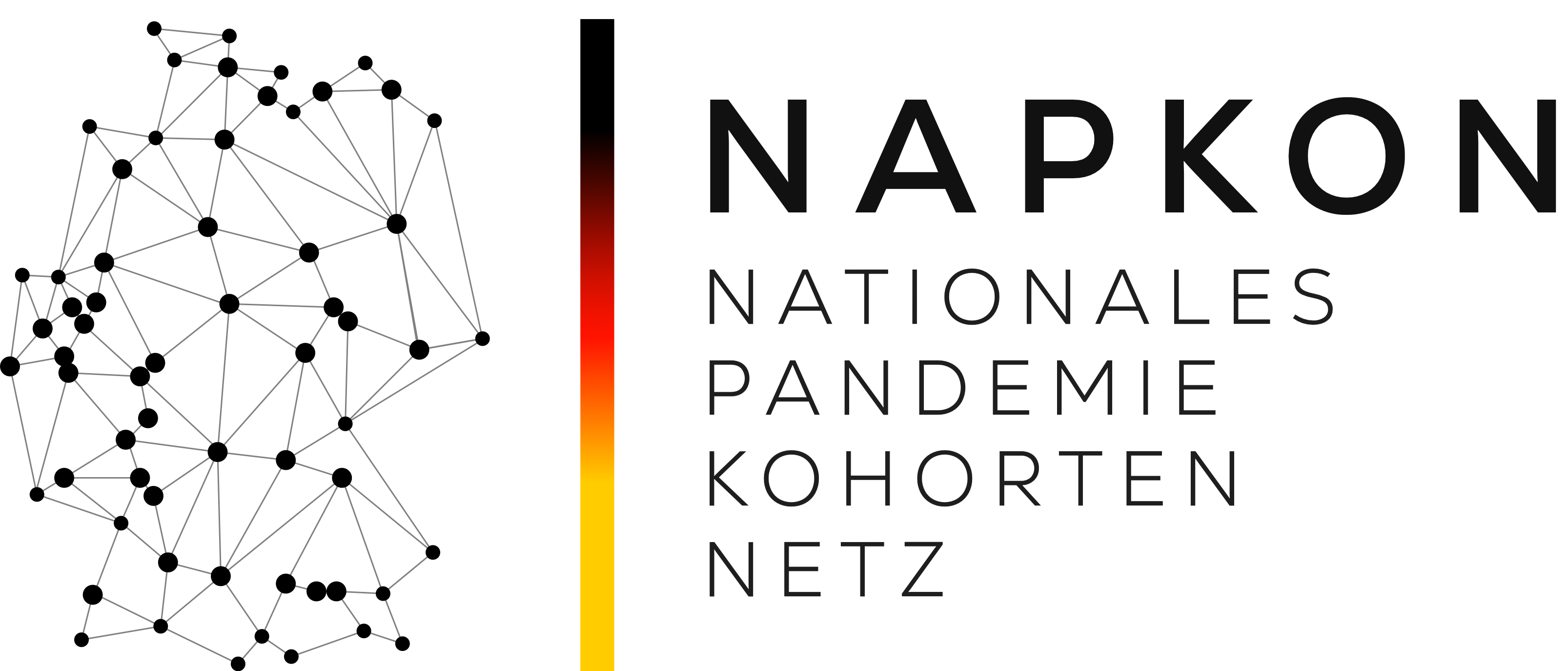 NAPKON logo
