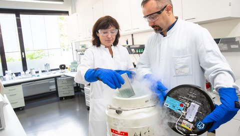 Professor Dr Britta Eiz-Vesper and Professor Dr Thomas Skripuletz take a pack of frozen T cells out of a special cryo container