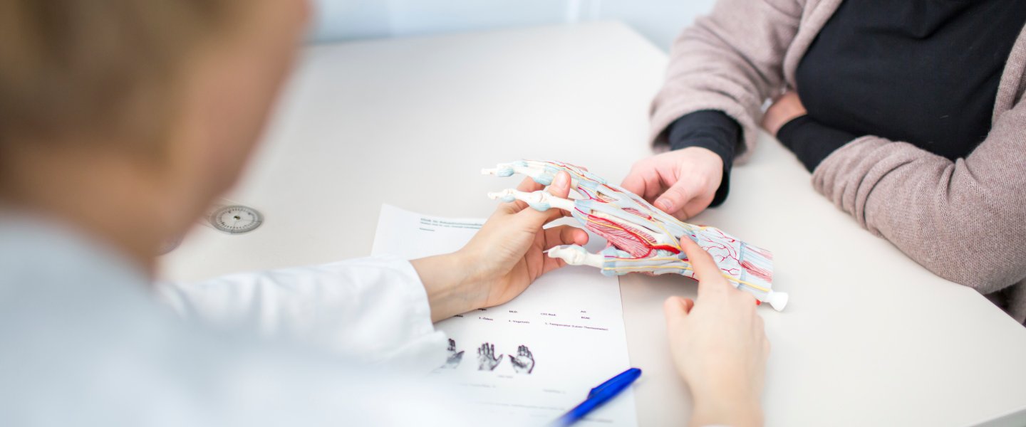 Ärztin zeigt Patientin das Modell einer Hand bei dem die Muskelstränge zu sehen sind