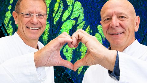 Two scientists in white lab coats are standing in front of a fluorescence image of heart muscle tissue and forming their hands into a heart shape.