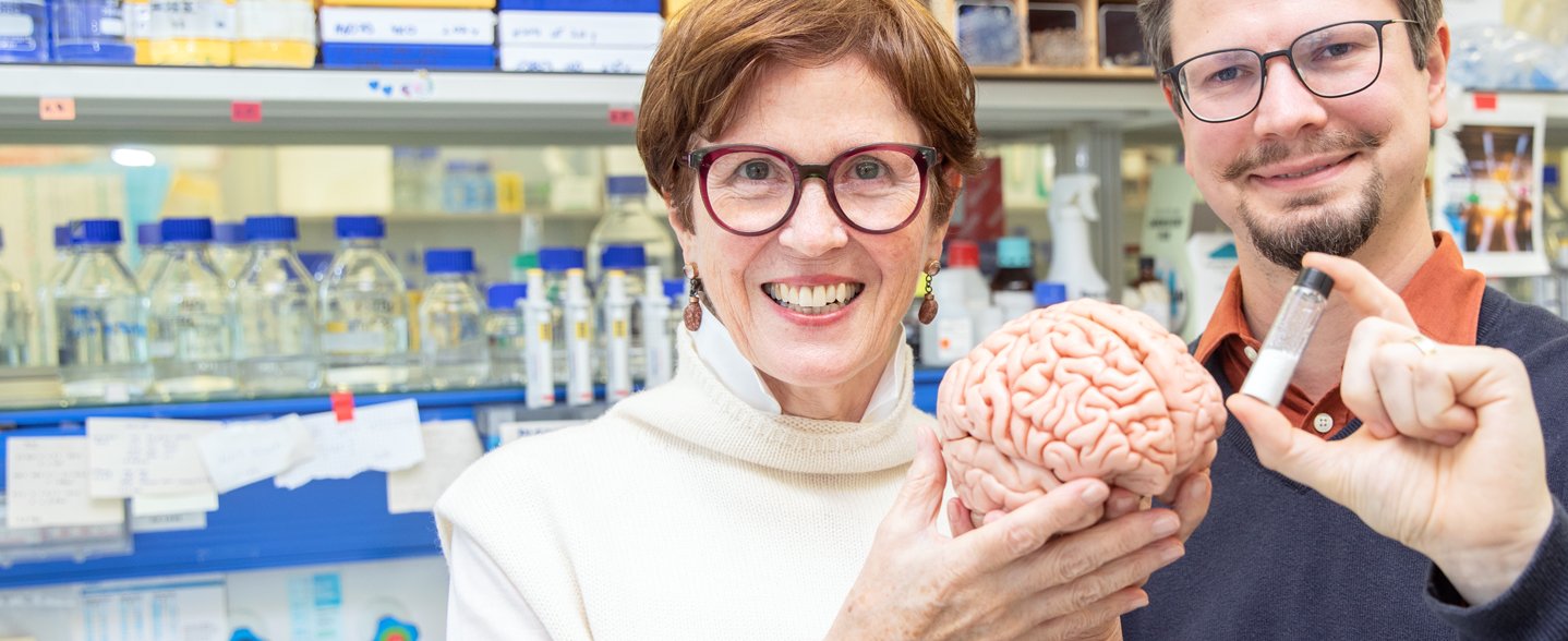 In einem Labor des Instituts für Klinische Biochemie stehen Professorin Dr. Rita Gerardy-Schahn und Dr. Hauke Thiesler und zeigen das Modell eines menschlichen Gehirns und ein Röhrchen mit Polysialinsäure. 