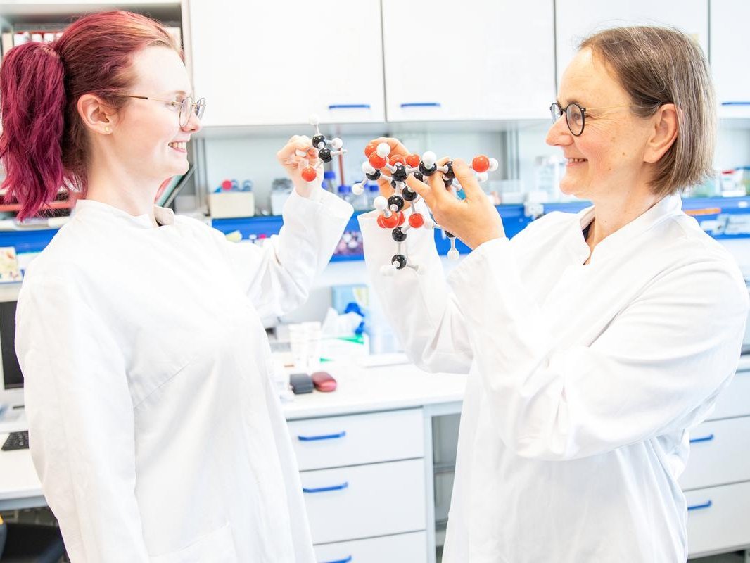 Zwei Wissenschaftlerinnen stehen in einem Labor und halten Molekülmodelle eines Zuckerbausteins in den Händen.