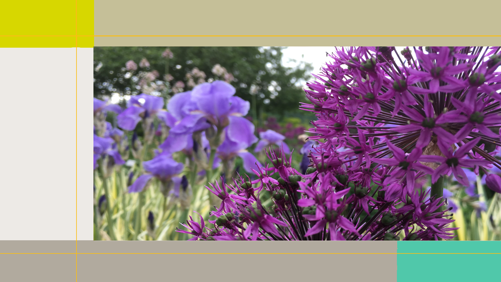 Das Bild zeigt im linken Hintergrund lila blühende Pflanzen und einen belaubten Baum. Im Vordergrund sind lilafarbene Blüten einer Distel zu sehen. 