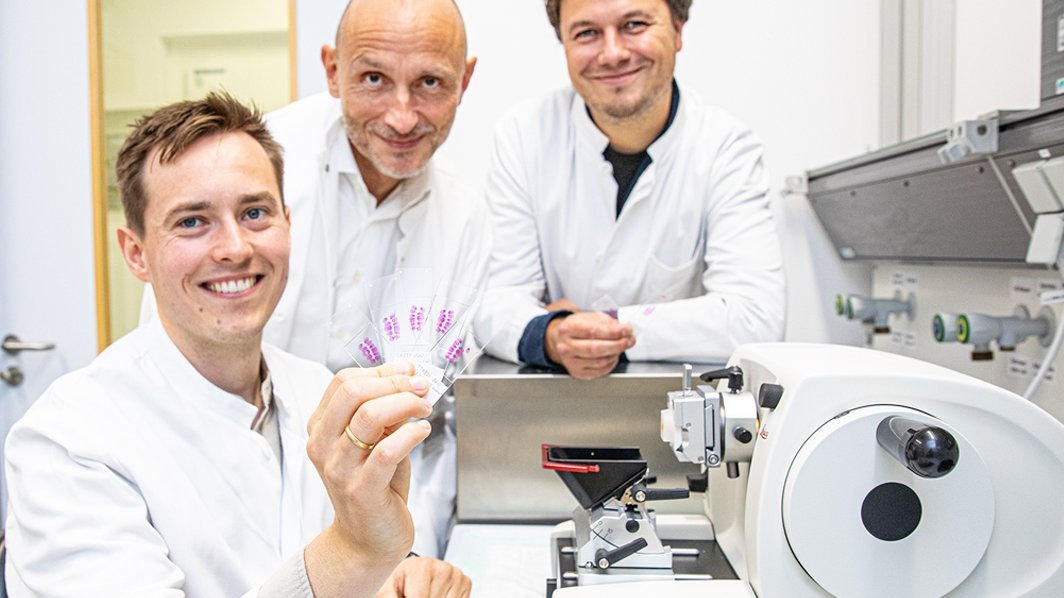 Dr. Arno Smid, Prof. Dr. Andreas Tiede und Dr. Markus Abeln (von links) stehen in einem Labor und zeigen gläserne Objektträger mit Schnitten von Plazenta-Gewebe des Mausmodells.