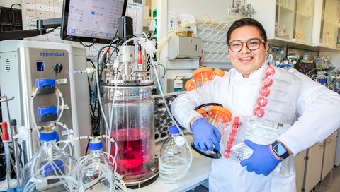 Ein Mann im weißen Kittel steht in einem Labor vor Glas-Bioreaktoren und hält Zellkulturbehälter aus Plastik in den Armen.