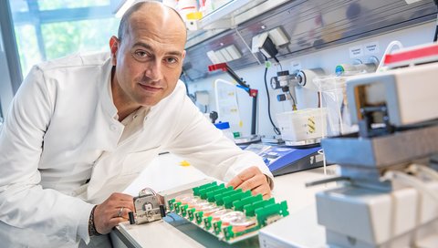 Professor Dr. Dr. Thomas Thum shows culture dishes in which tissue sections of living heart muscle cells can be examined.