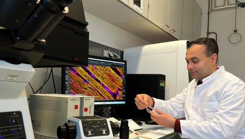 A scientist in a white coat sits in a research laboratory in front of a screen with images of muscle cells.