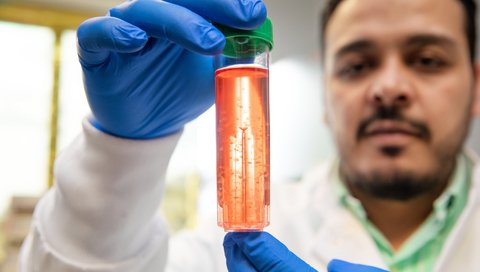 Dr. Fawaz Saleh hält einen röhrenförmigen Behälter mit weißen Zellverbünden in roter Nährflüssigkeit in der Hand. 