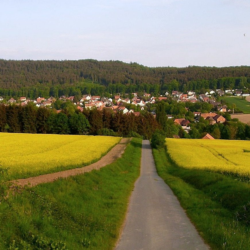 Blick von einer schmalen Straße auf eine kleine Stadt. Im Vordergrund Rapsfelder und Grünstreifen. Im Hintergrund Waldgebiete.