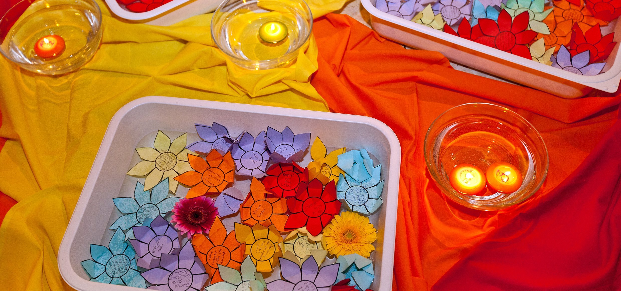 Copyright: Kaiser, Karin/MHH