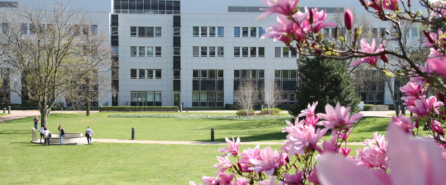 Blick über einen Magnolienzweig und den Patientengarten auf die MHH Frauenklinik