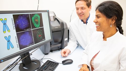 ): Professor Dr. Christian Bär und Dr. Shambhabi Chatterjee sitzen vor einem Monitor und betrachten Aufnahmen von Herzmuskelzellen aus dem Fluoreszenzmikroskop.