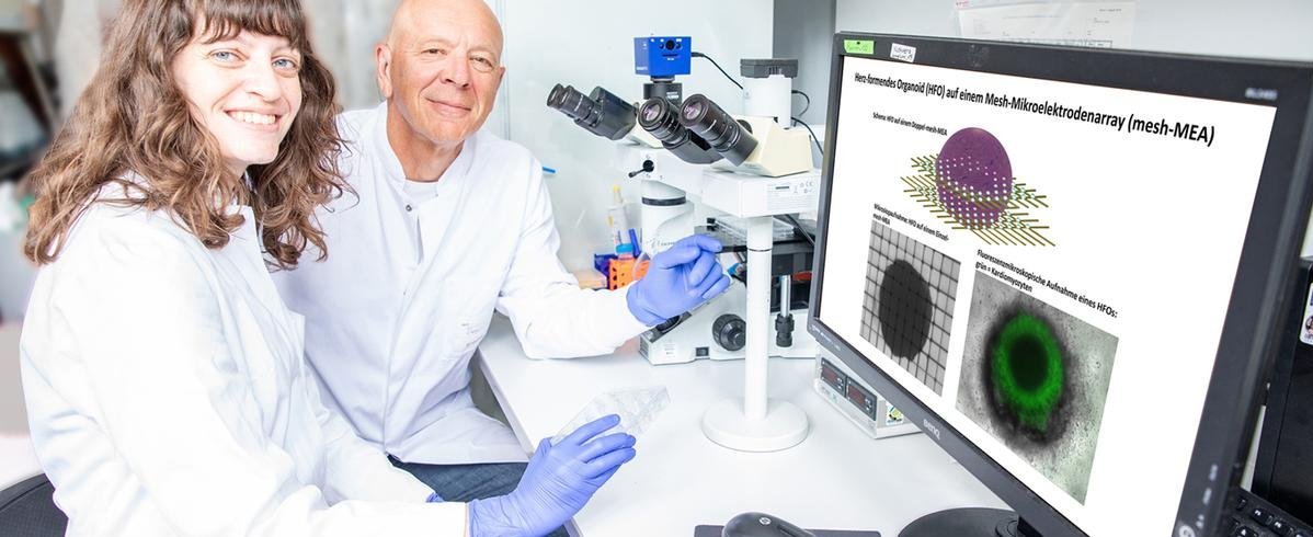 Eine Wissenschaftlerin und ein Wissenschaftler sitzen vor einem Mikroskop und einem Computer-Bildschirm, auf dem Herzorganoide abgebildet sind. Copyright: Karin Kaiser/MHH 