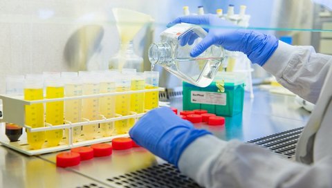 In an MHH laboratory, a person in a white protective coat, whose hands and arms can only be seen, fills a transparent liquid into test tubes.