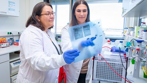 Prof. Schreiner und Dr. Mai im Institut für Virologie. Prof. Schreiner hält einen Röntgenfilm in der Hand, auf den Dr. Mai zeigt. Auf dem Röntgenfilm sind Proteine dargestellt. Dafür wurde vorher mit dem Wet Tank“ das „Western Blot Verfahren“ durchgeführt, mit dem man Proteine anhand von spezifischen Antikörpern nachweisen kann. Der „Wet Tank“ ist auf dem Foto ebenfalls zu sehen.