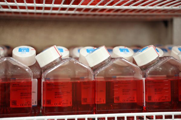 Bottles