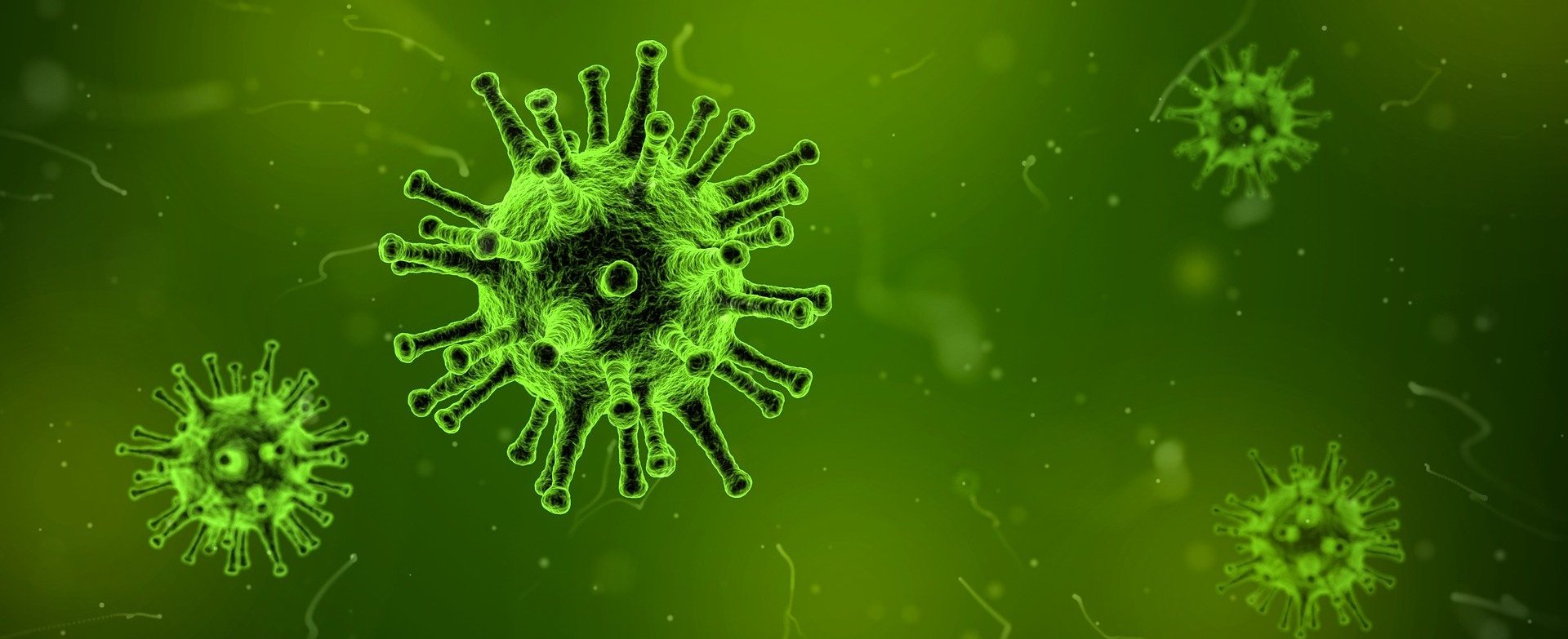Grüne Darstellung, welches ein Virus abbildet.