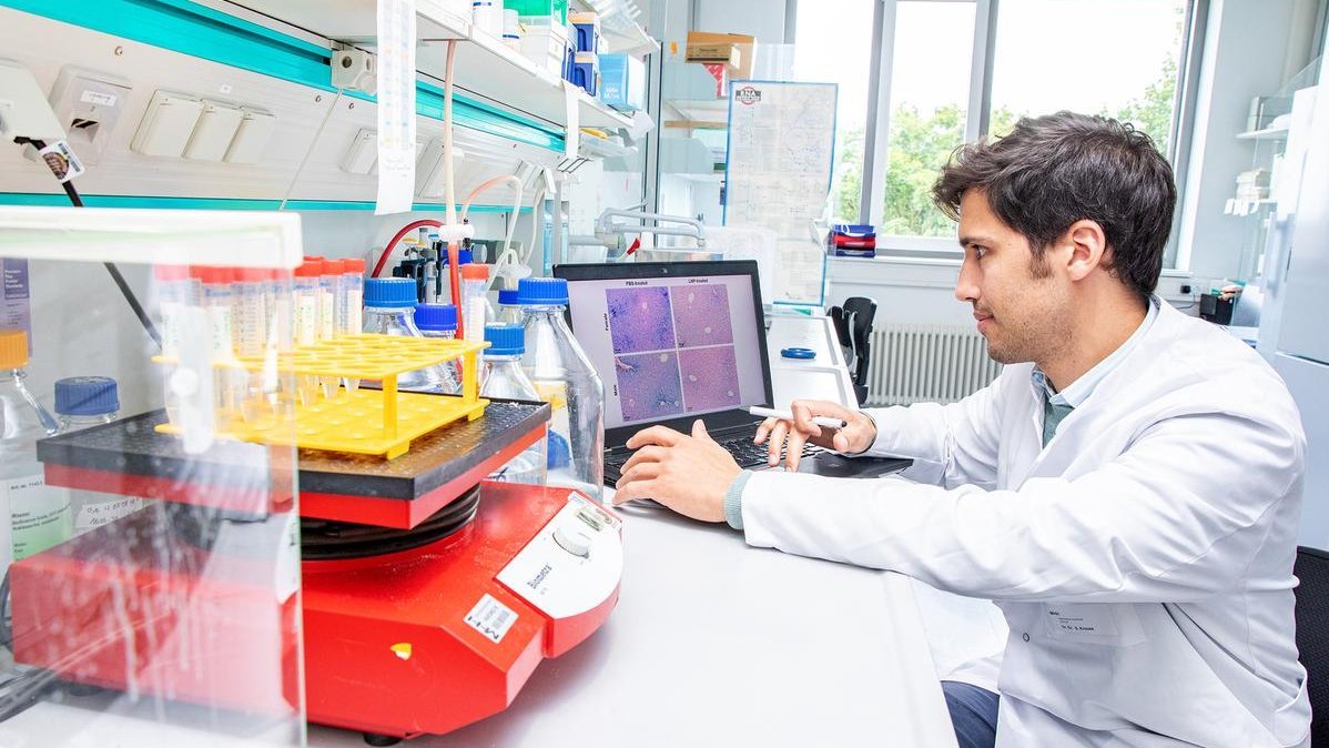 Ein Wissenschaftler sitzt in einem Forschungslabor und betrachtet Mikroskopieaufnahmen von Leberzellen.