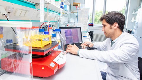 Ein Wissenschaftler sitzt in einem Forschungslabor und betrachtet Mikroskopieaufnahmen von Leberzellen.