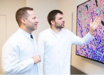 Copyright: Karin Kaiser/MHH