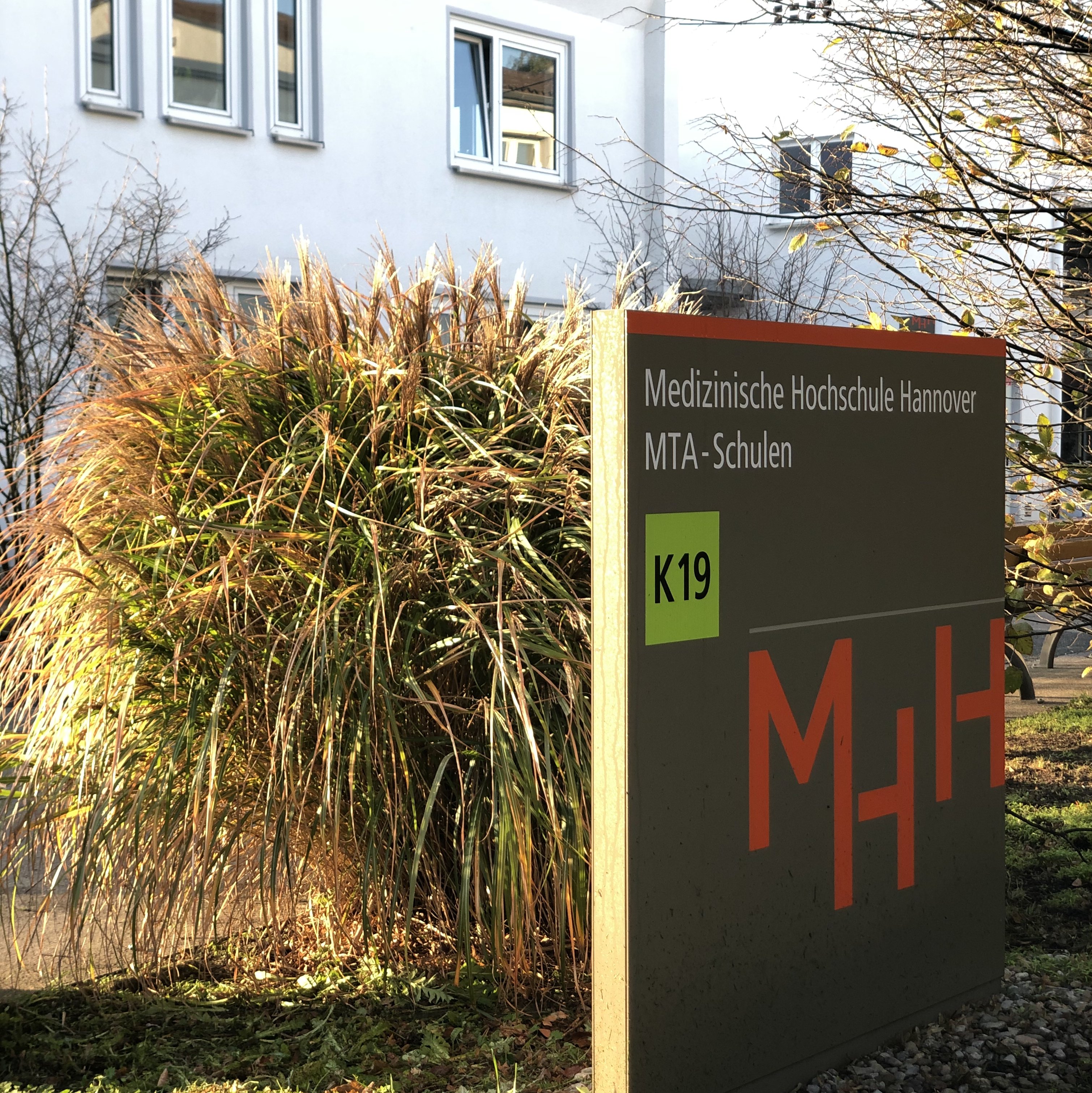 Medizinische Hochschule Hannover Mtra Schule