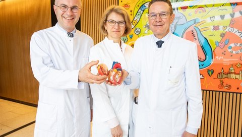 Zwei Männer und eine Frau in weißen Kitteln zeigen das Modell eines menschlichen Herzens.
