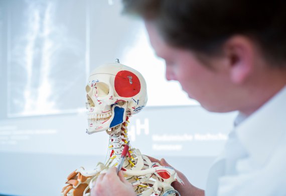 Arzt erklärt anhand eines Skeletts die Halswirbelsäule