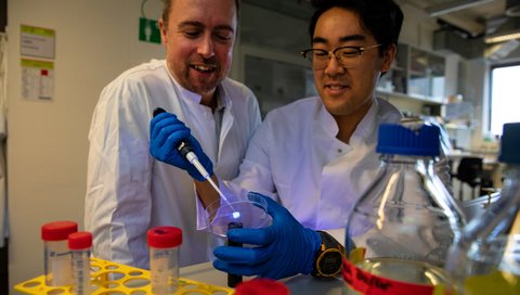 Zwei Männer in weißen Kitteln stehen und einer von ihnen hält eine Pipette in der einen und eine Schale in der anderen Hand. Copyright: Karin Kaiser/MHH