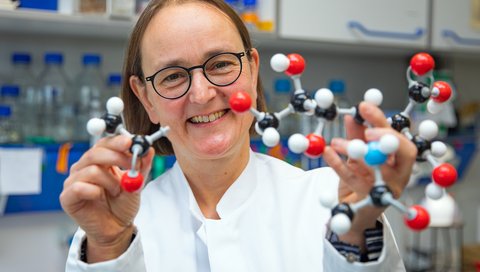 Privatdozentin Dr. Martina Mühlenhoff hält das Modell eines Silaninsäure-Moleküls in den Händen.