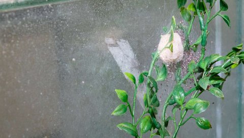 Copyright: Karin Kaiser/MHH