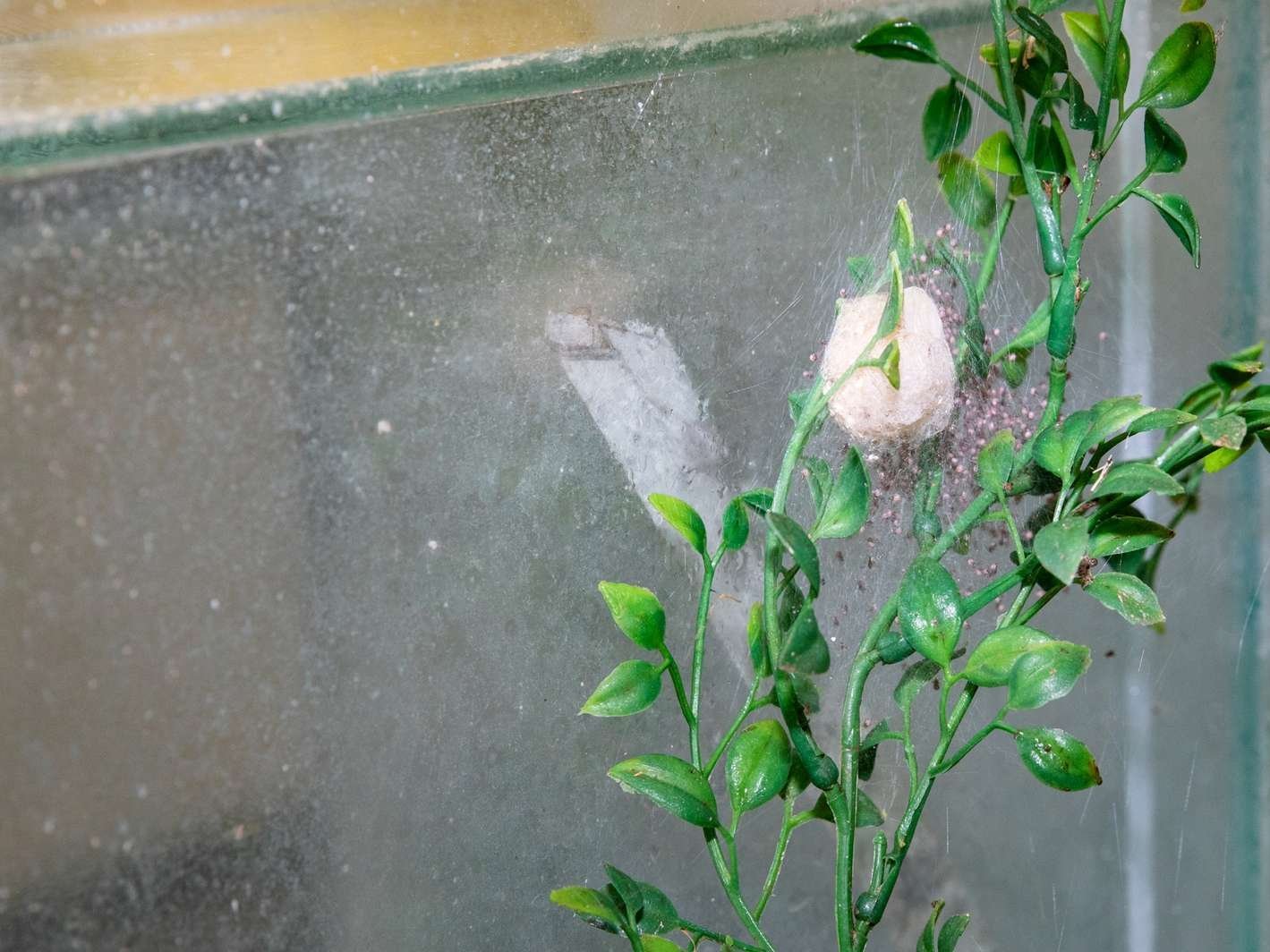 Copyright: Karin Kaiser/MHH