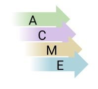 ACME Logo