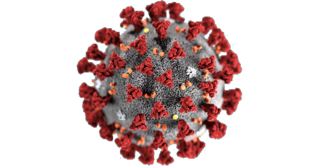 Das Bild zeigt eine modellhafte Abbildung des Covid-19 Virus.