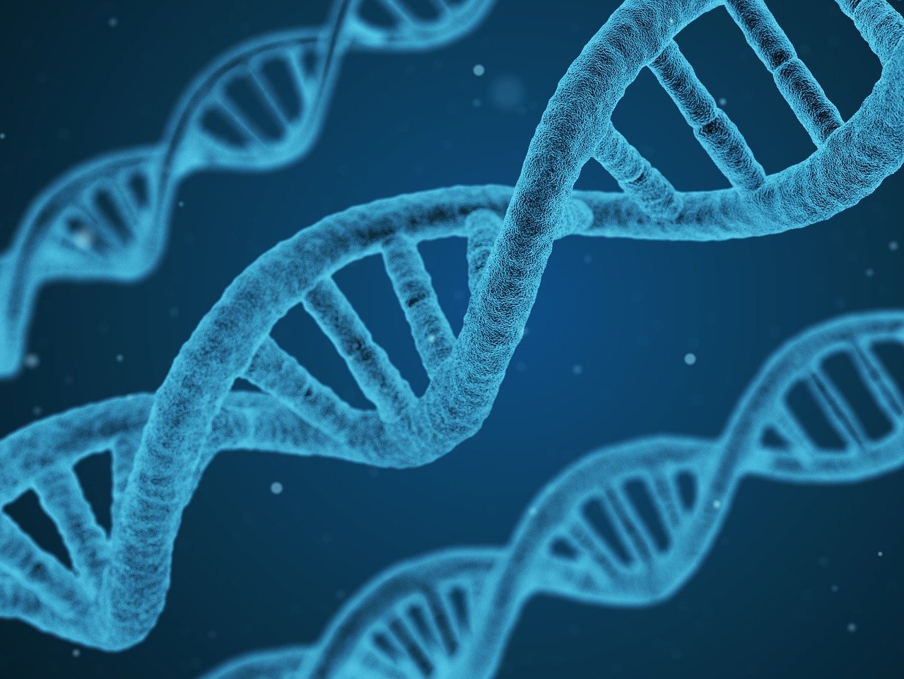 Das Bild zeigt mehrere DNA-Stränge.