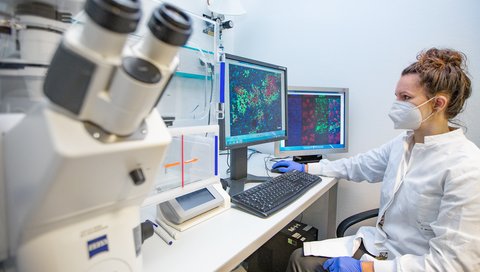 Molecular biotechnologist Dr Nadja Meumann sits in front of two screens showing fluorescence images of liver cells from mice and humans.