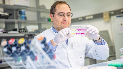 Dr Georgios Amanakis stands in a laboratory of the Clinic for Cardiology and Angiology and holds a cell culture plate in his hands.