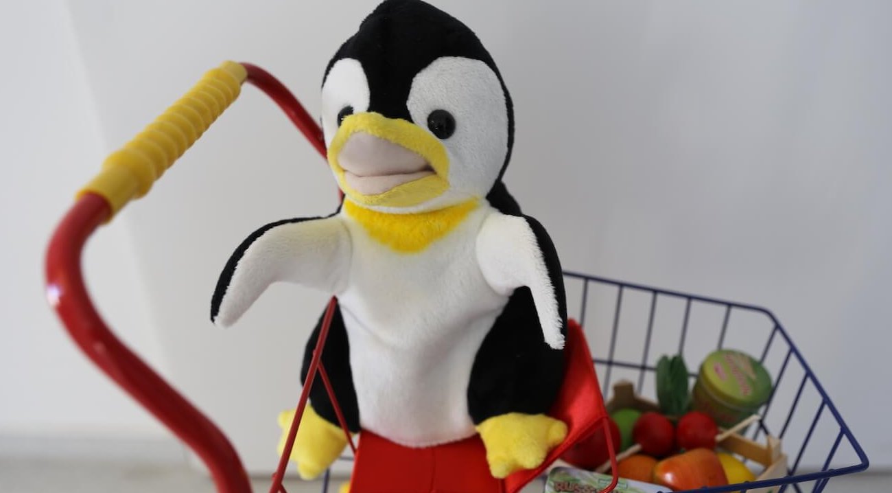 Stofftier Pinguin sitzt in einem Kindereinkaufswagen; copyright: Schlüter, Katrin päd. Diätetik/MHH