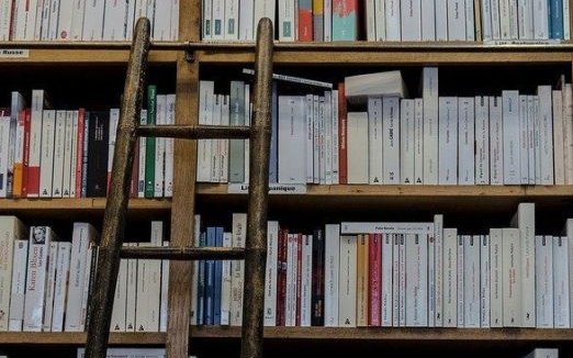 Copyright: Manolo Franco/Pixabay_a wooden ladder leans against a shelf full of books.