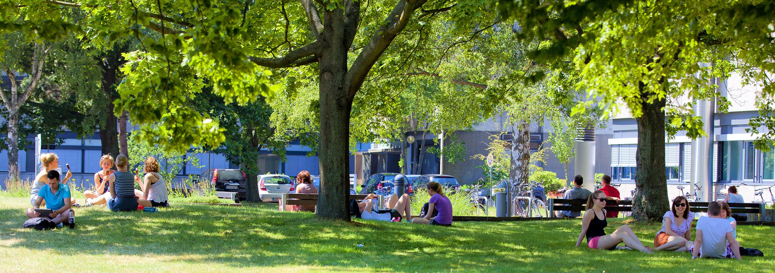 Studierende auf der Wiese auf dem Campus