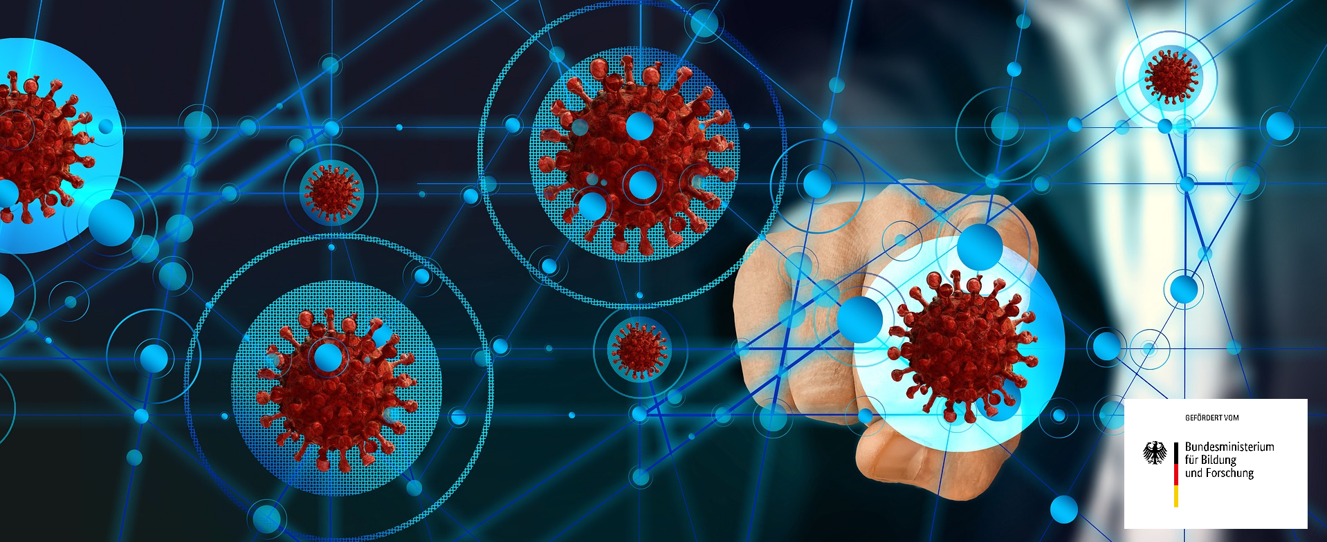 Network made from Corona-Viruses