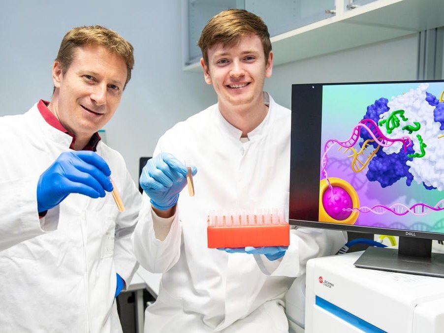 Copyright: Karin Kaiser/MHH Two men in white coats stand next to a screen, holding test tubes in their hands.