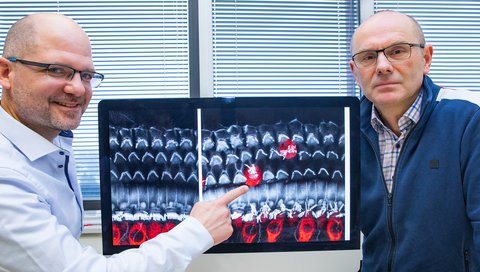 Dr Mark-Oliver Trowe and Professor Kispert stand next to a screen showing a picture of hair cells from the inner ear of a mouse.