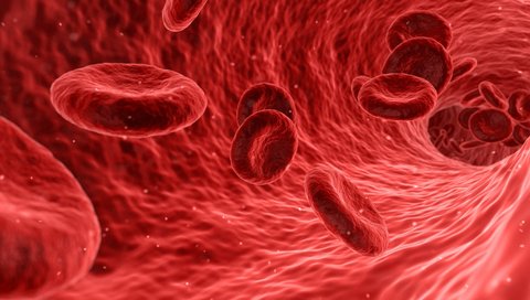 Blut spenden - Leben retten. Copyright: Pixabay