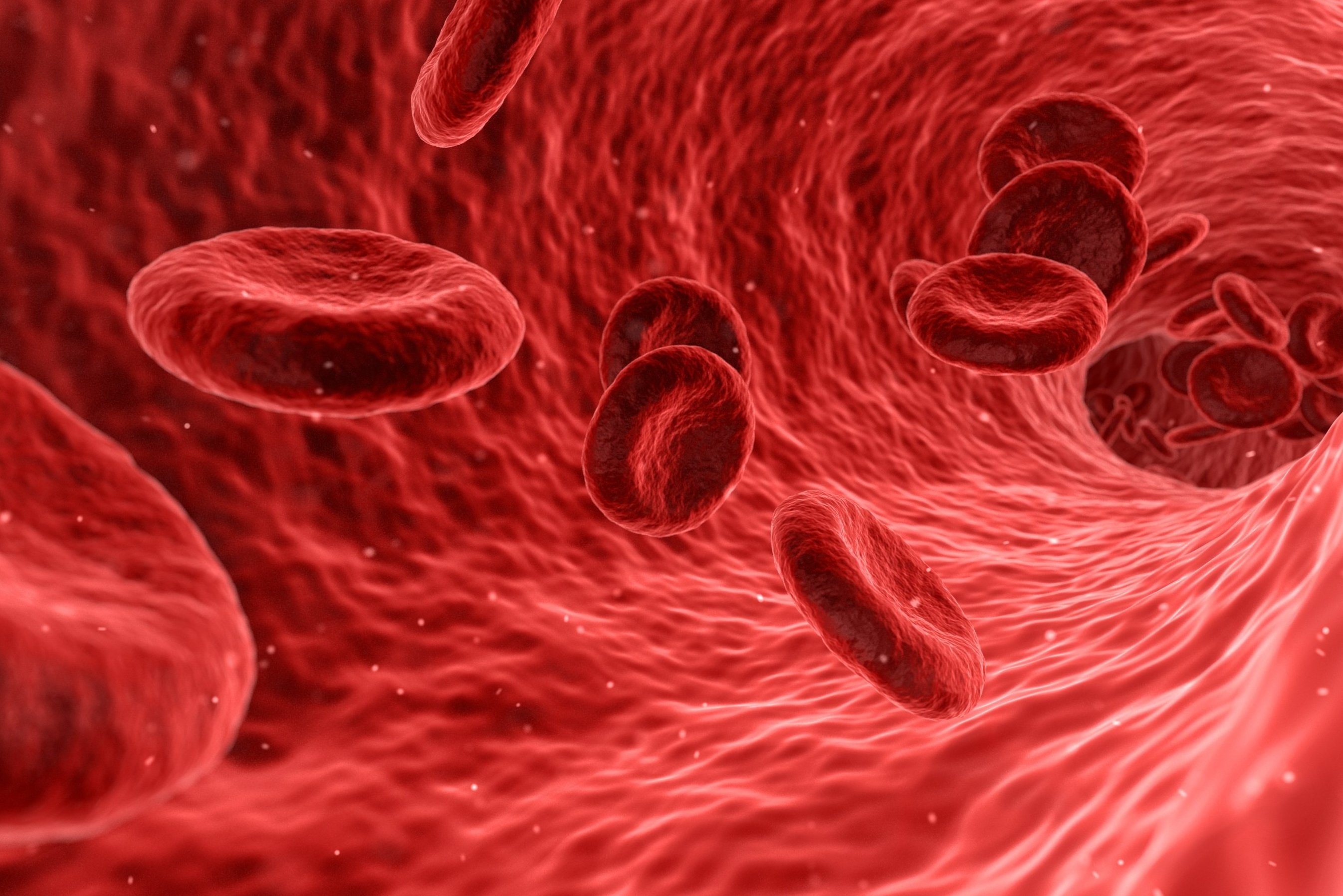 Blut spenden - Leben retten. Copyright: Pixabay