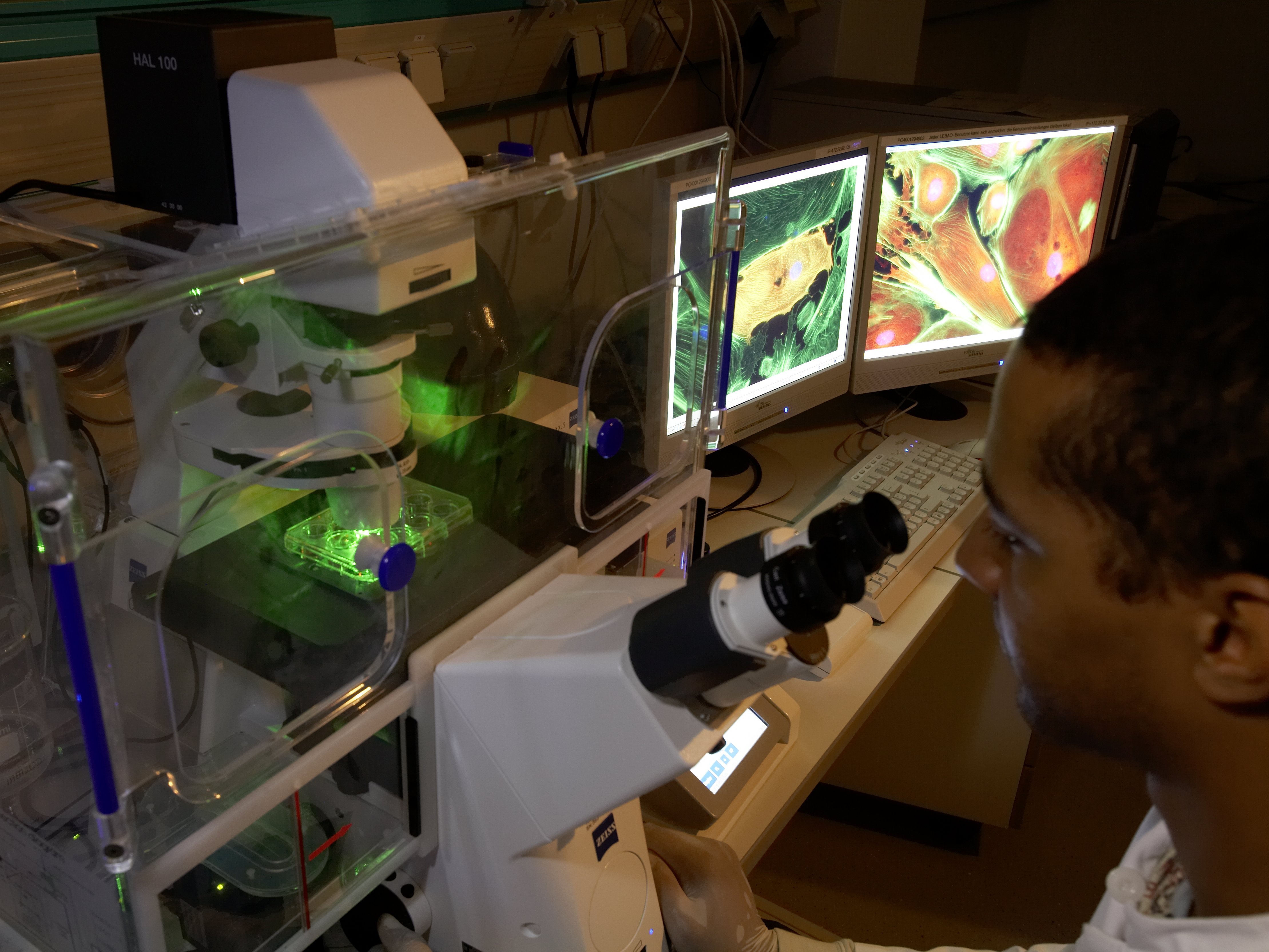 [Translate to Englisch:] Student in front of microscope