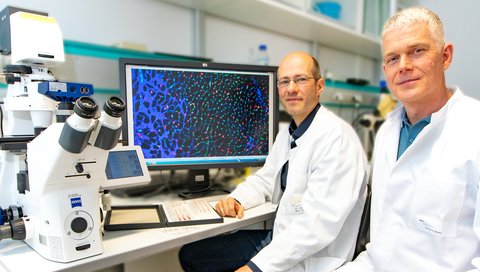 Dr Marc Reboll and Professor Kai Wollert sit in front of a fluorescence microscope in the MHH Department of Cardiology and Angiology