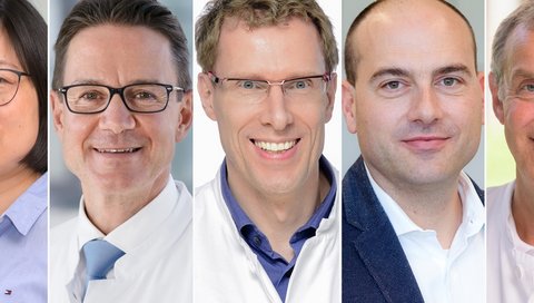 Es zeigt Professorin Li sowie die Professoren Bauersachs, Hoeper, Thum und Werfel (von links). Copyright: Nico Herzog (2); MHH-Kardiologie; Tom Figiel; Karin Kaiser/MHH