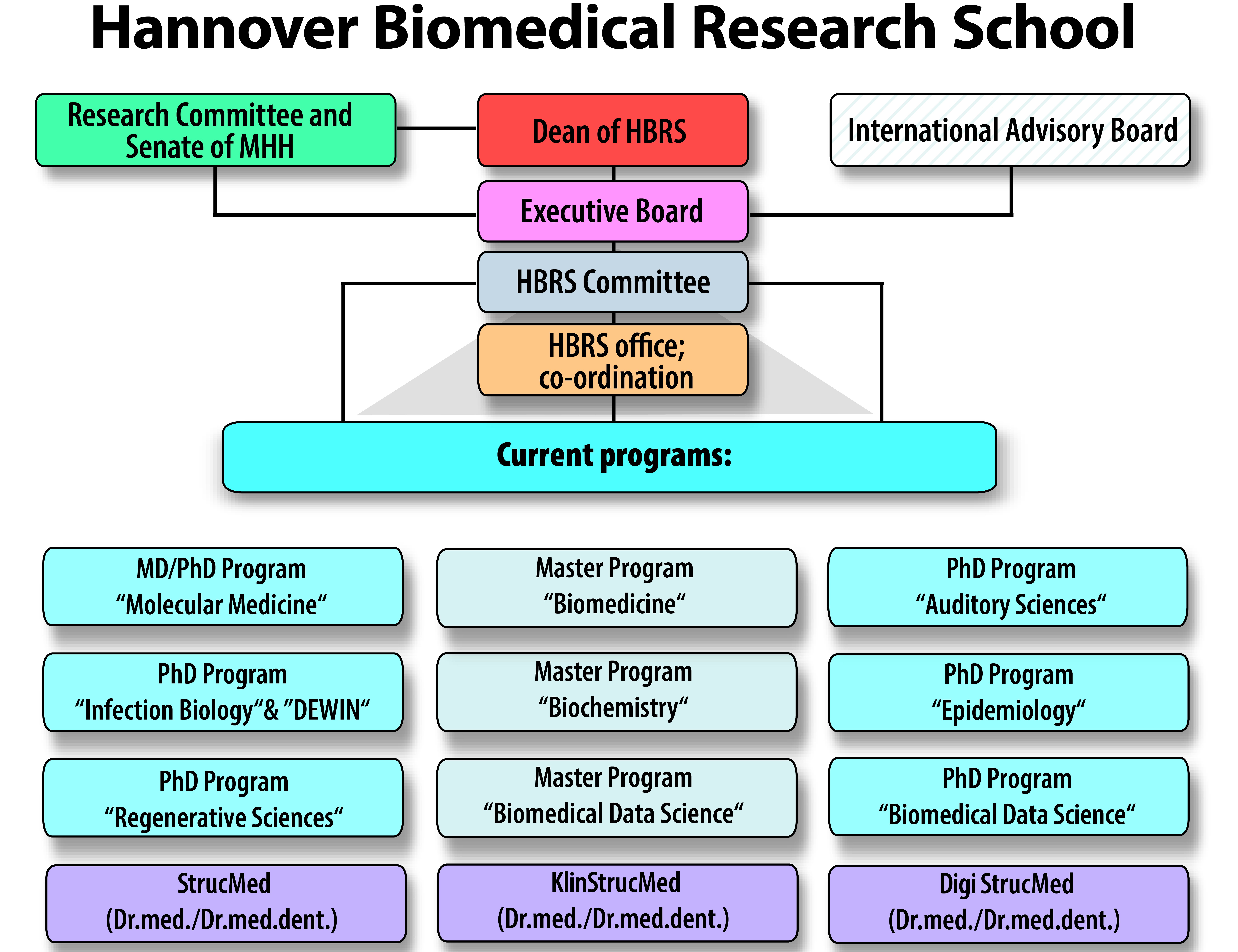Medizinische Hochschule Hannover Translate To Englisch HBRS